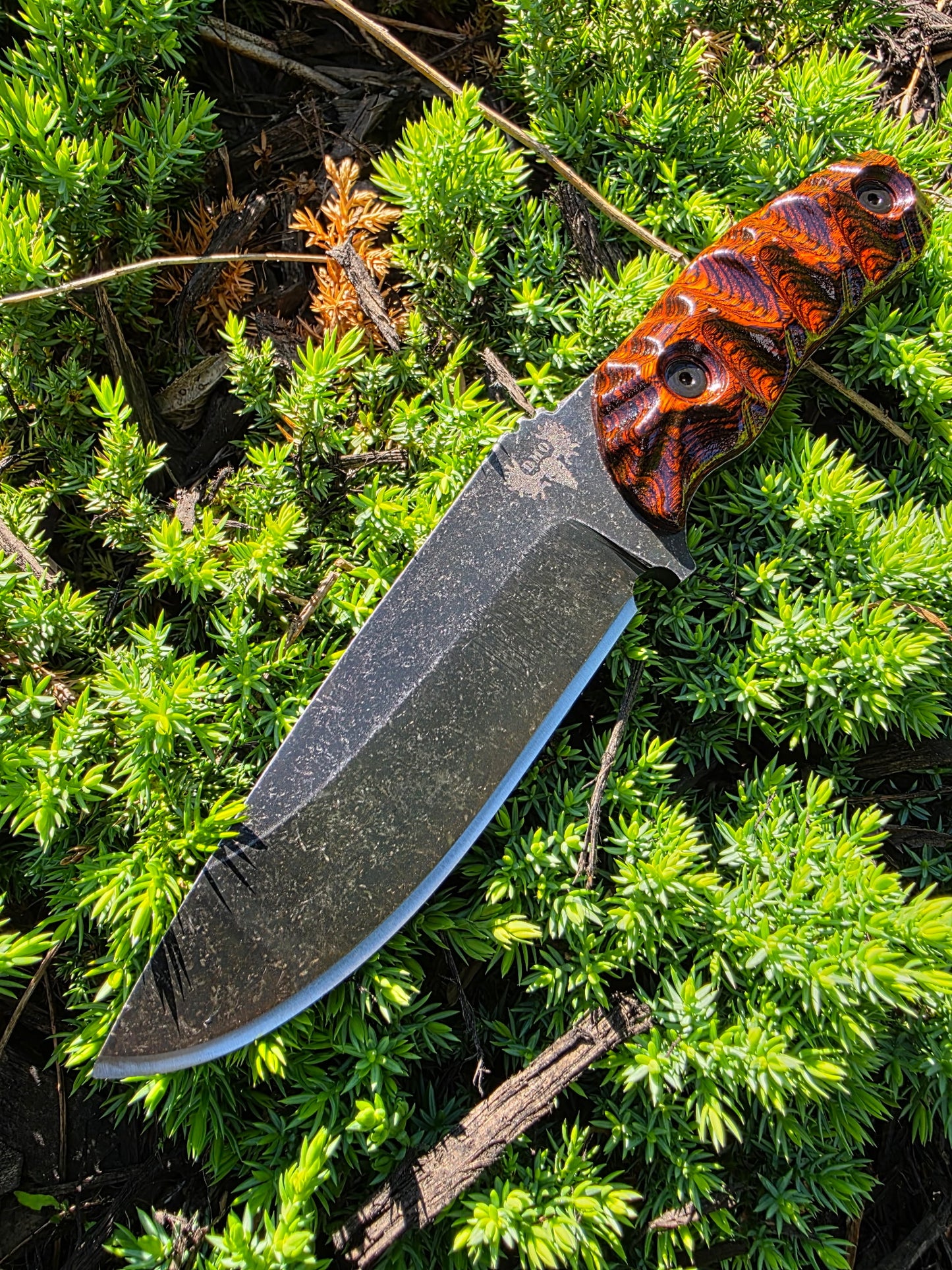 DMO Patriot – Built for Duty. Designed for Legacy.